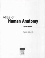 Atlas Human Anatomy Ciba Netter.pdf